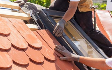 replacement Treeton roof windows