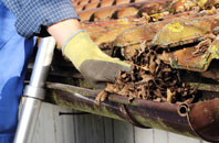 Treeton gutter cleaners