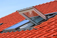 Treeton roof window