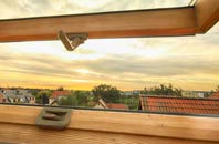 rated Treeton roof window companies